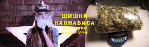 трава Няндома