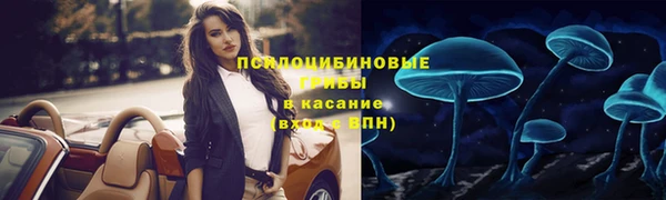 ешки Аркадак