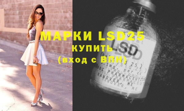 ешки Аркадак