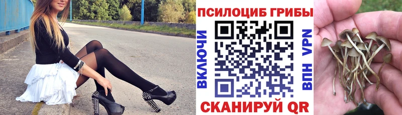 Галлюциногенные грибы ЛСД Орлов